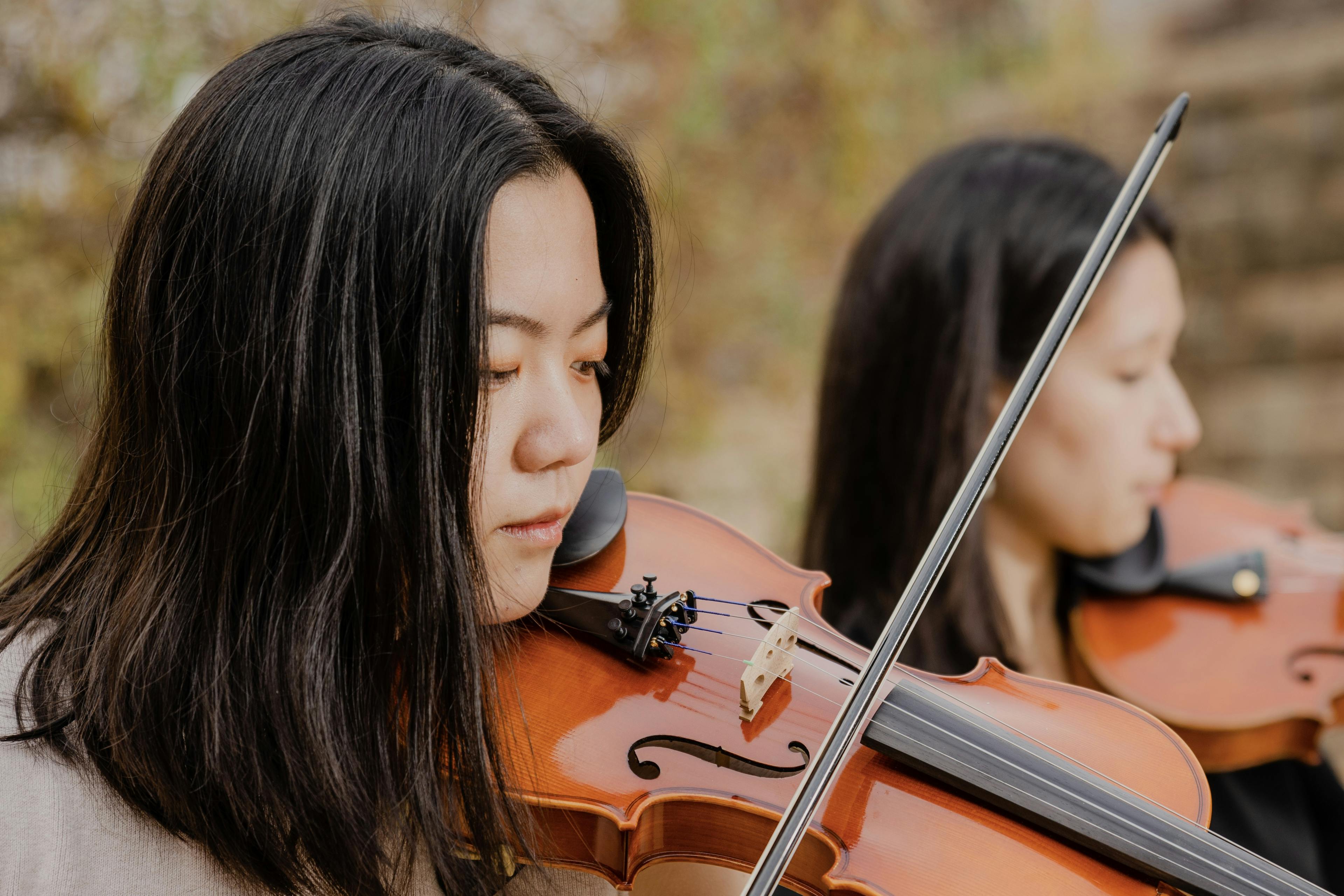 image of group featuring violin | violin (example)