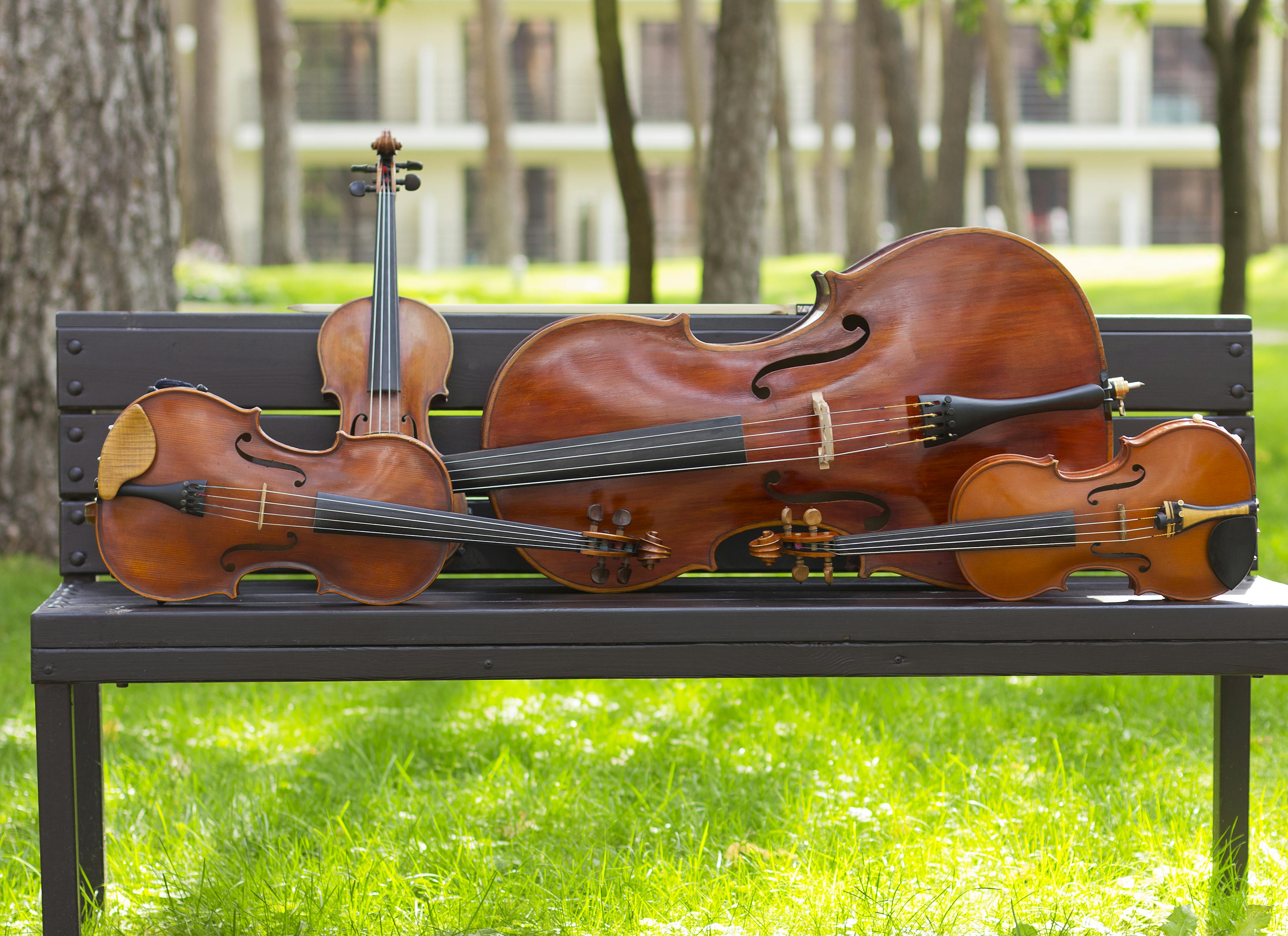 string instruments arranged on a park bench